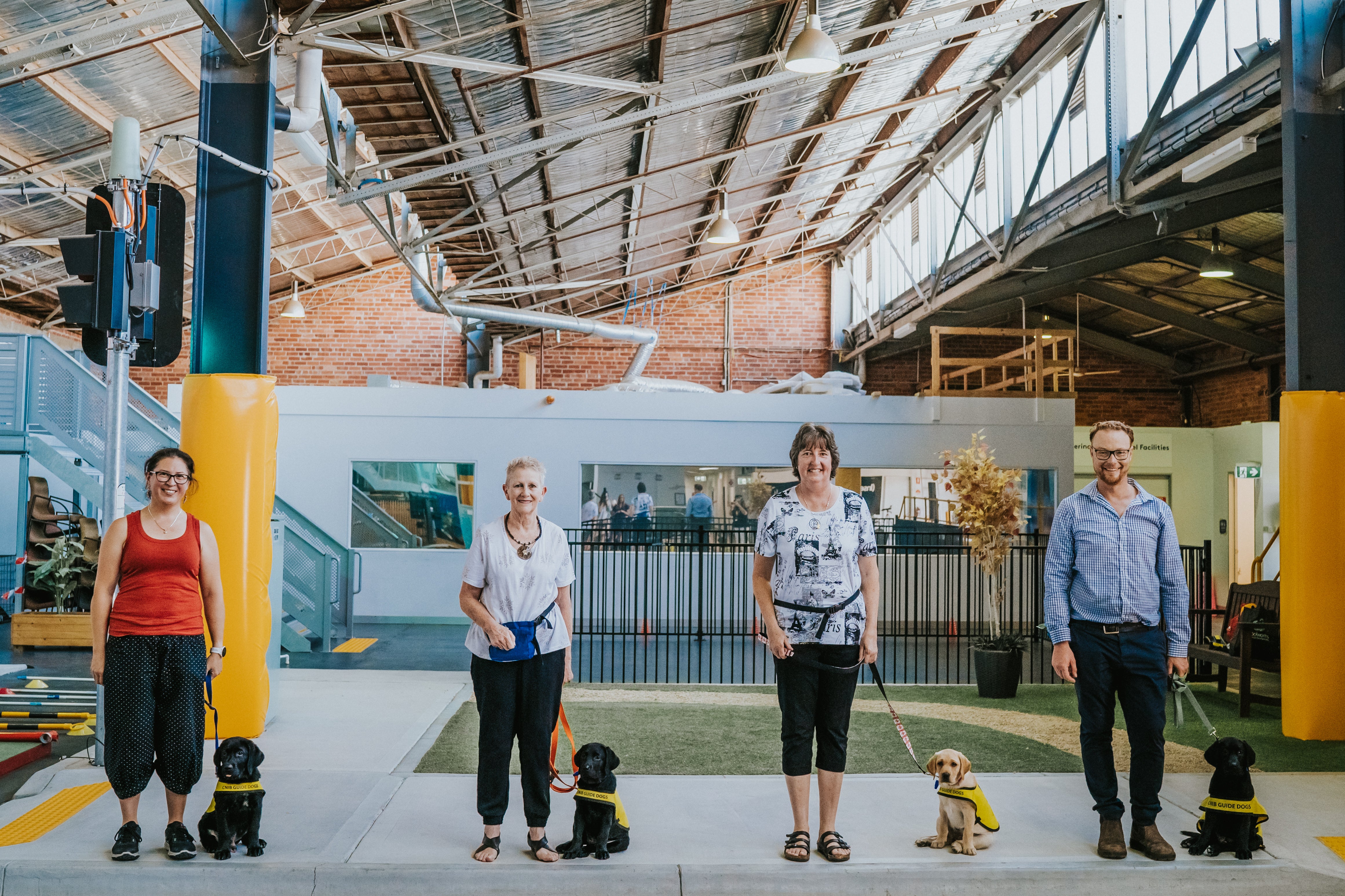 Four volunteer Puppy Raisers stand next to their future guide dog puppies at a training center in Australia. 
