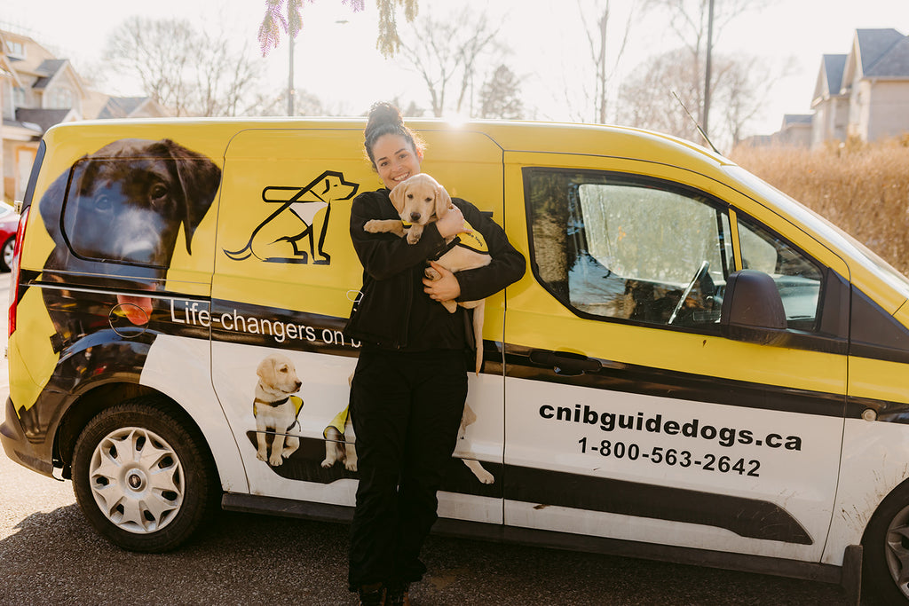 A Puppy Raising Supervisor holds a yellow Labrador puppy while standing in front of the CNIB Guide Dogs van.